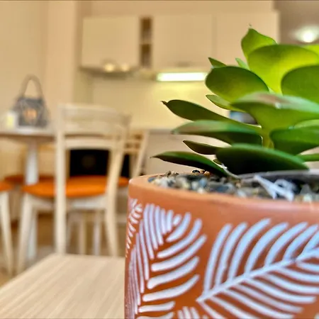 Menada Royal Sun Apartments Sunny Beach Room photo